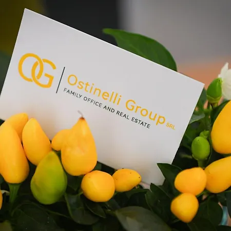 Apartman Charming In Center *