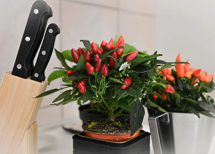 아파트 Charming In Center 코모