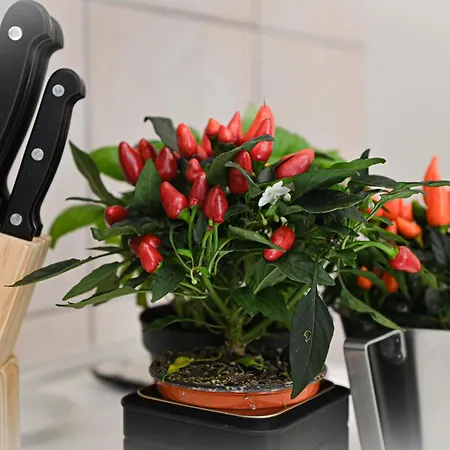 Apartament Charming In Center Como